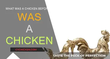 The Evolution of Chickens: From Dinosaurs to Farmyard Birds
