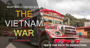 Chicken Buses: Vital Transport in Vietnam War