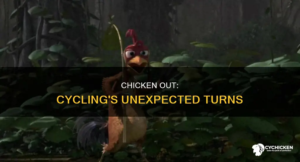 what was a chicken out scene in the cycle
