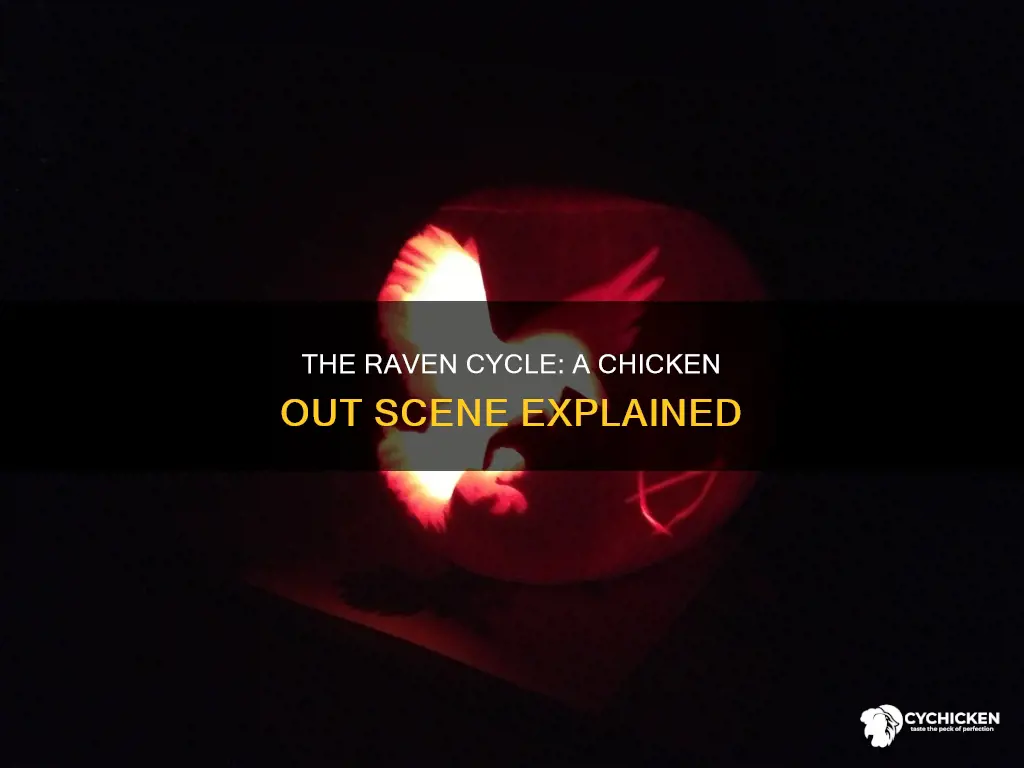 what was a chicken out scene in the raven cycle