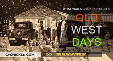Chicken Ranches: Old West's Red Light Districts