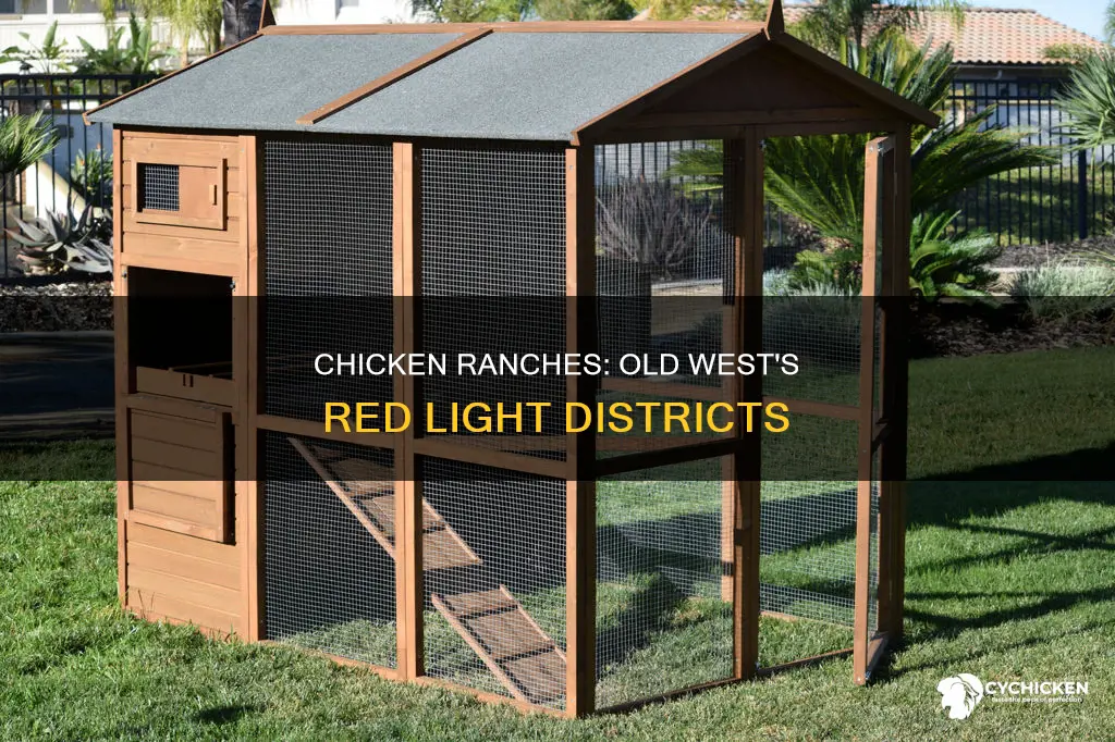what was a chicken ranch in old west days