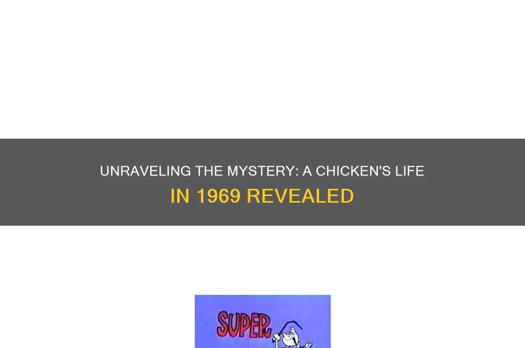 what was a chicken with in 1969