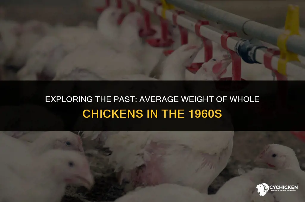 what was average weight of whole chicken 1960s