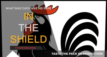The Shield: Unraveling the Mystery of Chick's Identity
