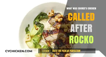 Chokie's Chicken Renamed: The Post-Rocko Era and Its New Identity