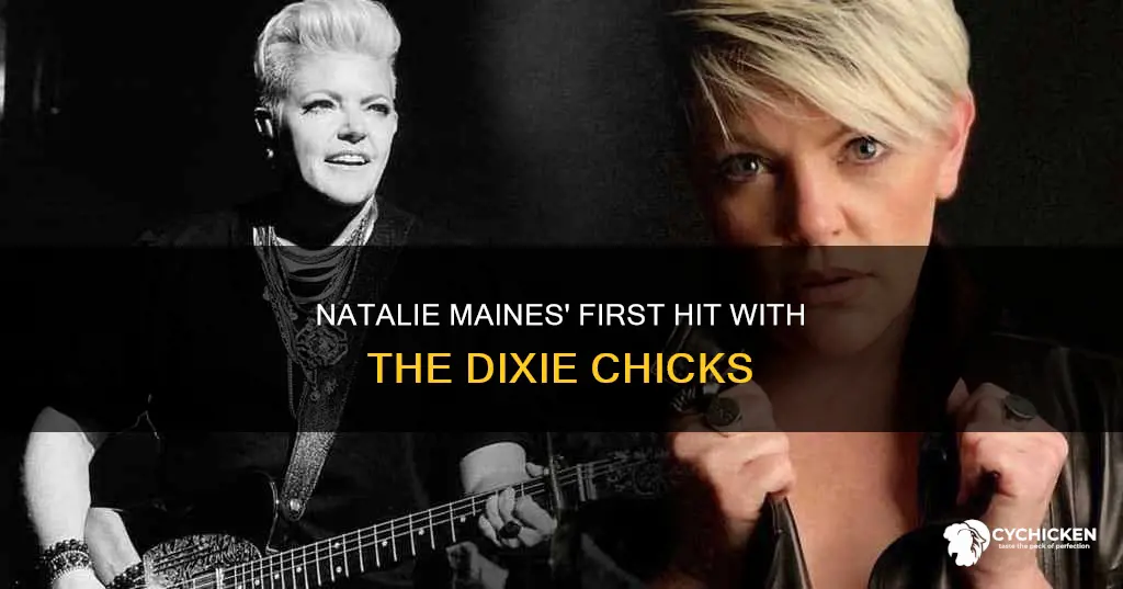what was dixie chicks first hit with natalie maines