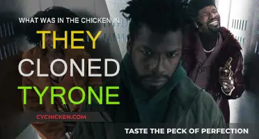 Cloned Chicken Mystery: What's in the Tyrone Recipe?