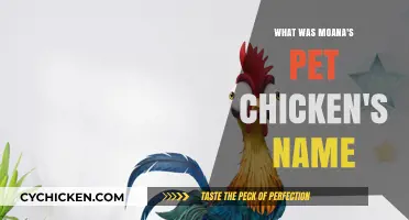 Unveiling Moana's Feathered Friend: The Name of Her Pet Chicken