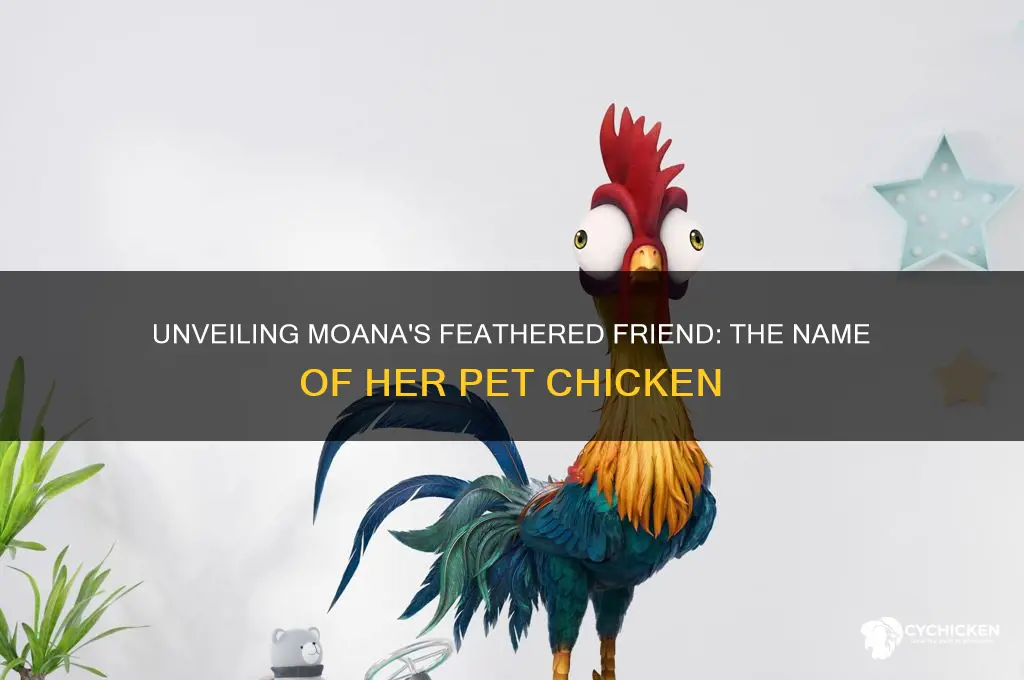 what was moana