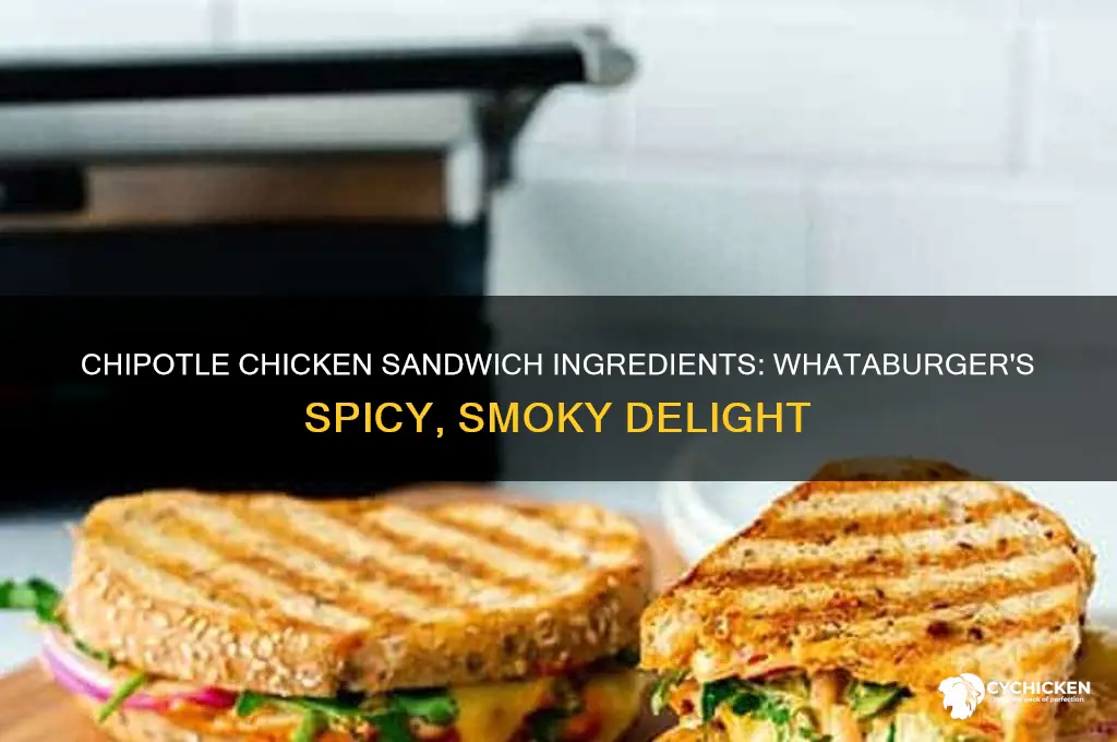 what was on the chipotle chicken sandwich whataburger