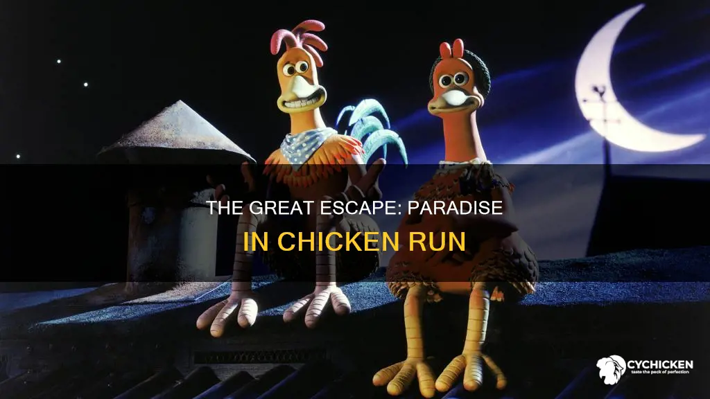 what was paradise called in the chicken run movie