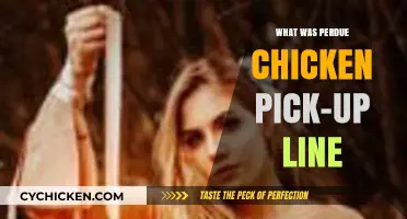 Perdue Chicken's Cheesy Pick-Up Line: A Clucky Marketing Strategy