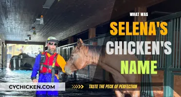 Selena's Chicken: Uncovering the Name of Her Feathered Friend
