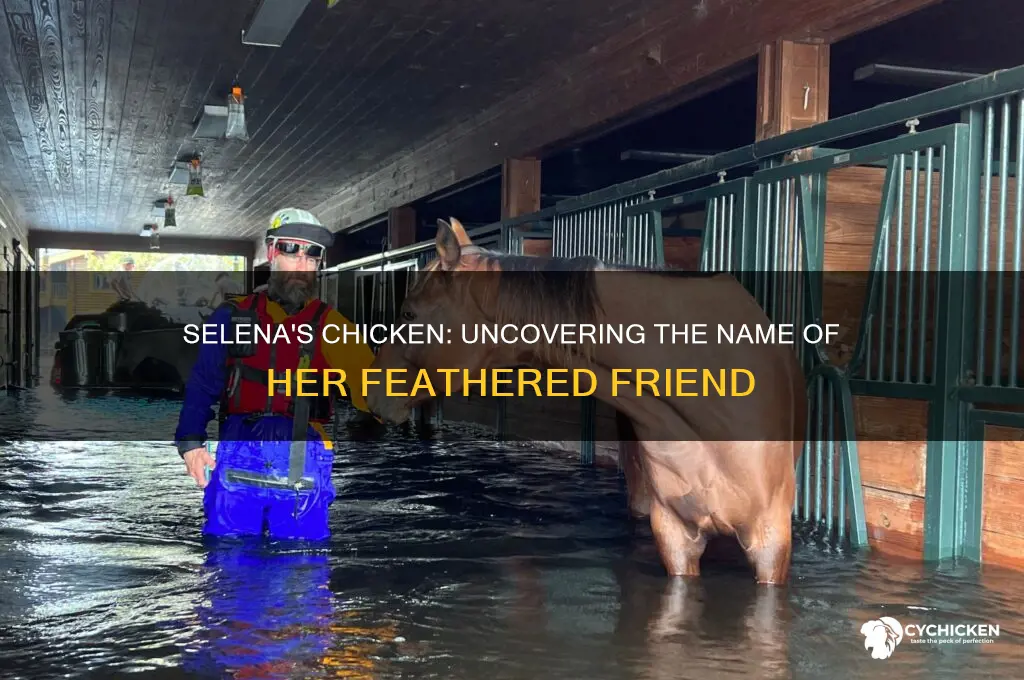 what was selena