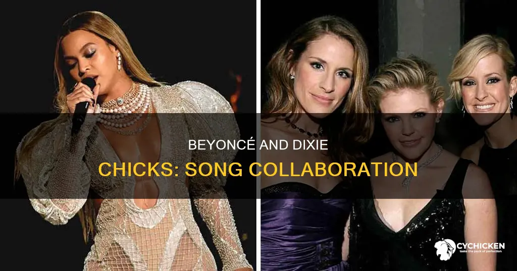 what was tge song beyonce and dixie chicks sang