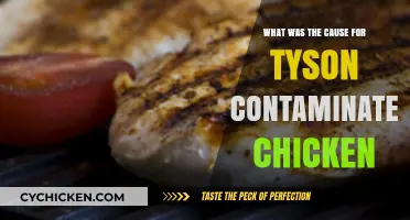 Uncovering the Root Cause of Tyson's Contaminated Chicken Crisis