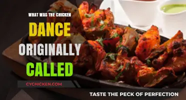 The Surprising Origins of the Chicken Dance: Its Original Name Revealed