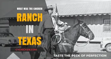 The Infamous Chicken Ranch: Uncovering Texas' Secret Brothel History