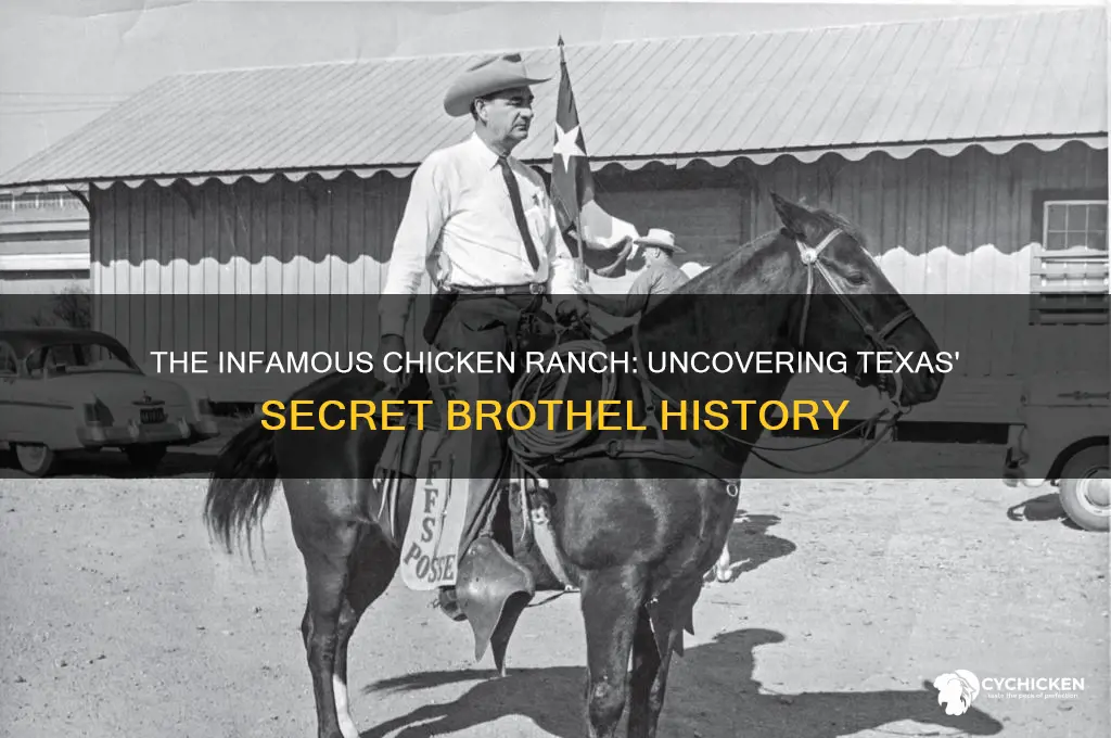 what was the chicken ranch in texas