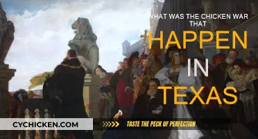 Texas Chicken War: A Historic Battle
