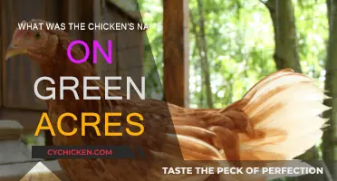 The Name Game: Green Acres' Famous Chicken