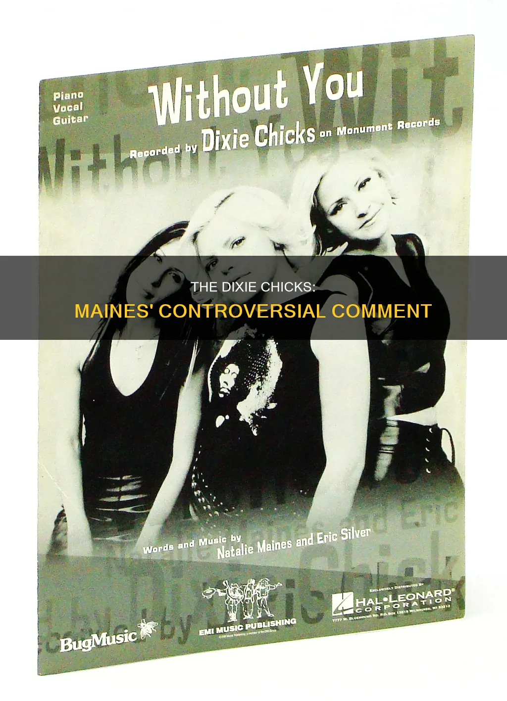 what was the comment by maines of the dixie chicks