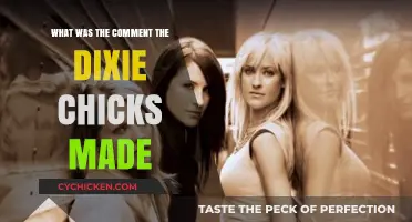The Dixie Chicks' Controversial Comment: What Did They Say?