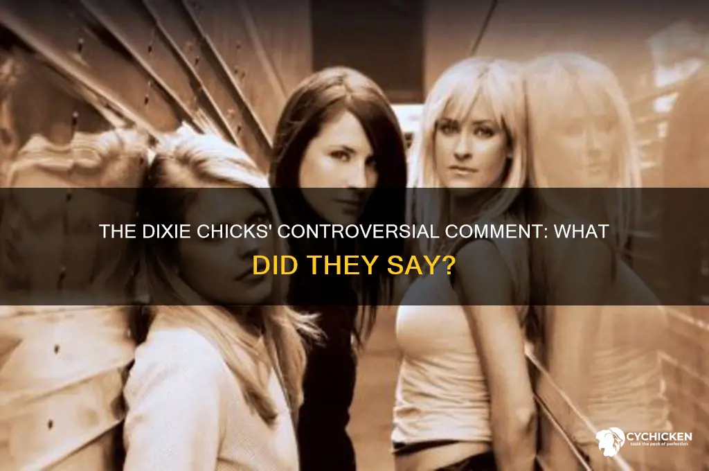 what was the comment the dixie chicks made