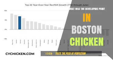 Boston Chicken's Rise: The Key Developing Point Unveiled
