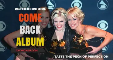 The Dixie Chicks' Triumphant Return: Unveiling Their Comeback Album