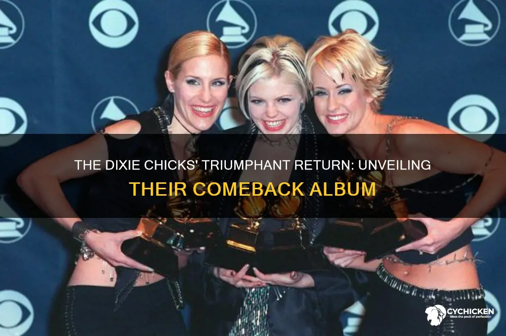 what was the dixie chicks come back album