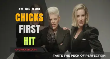 The Dixie Chicks' Rise to Fame: Their First Hit Song