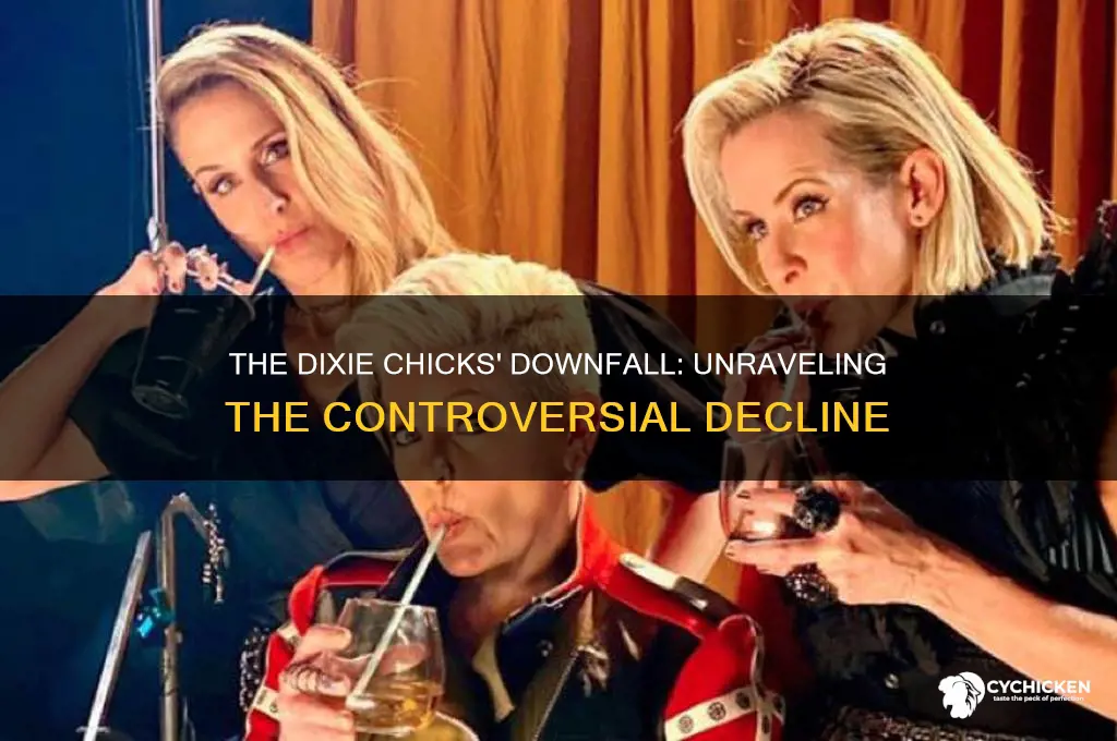 what was the fall of the dixie chicks