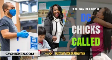 DC Chicks Group Name: Unveiling the Iconic Collective's Official Title