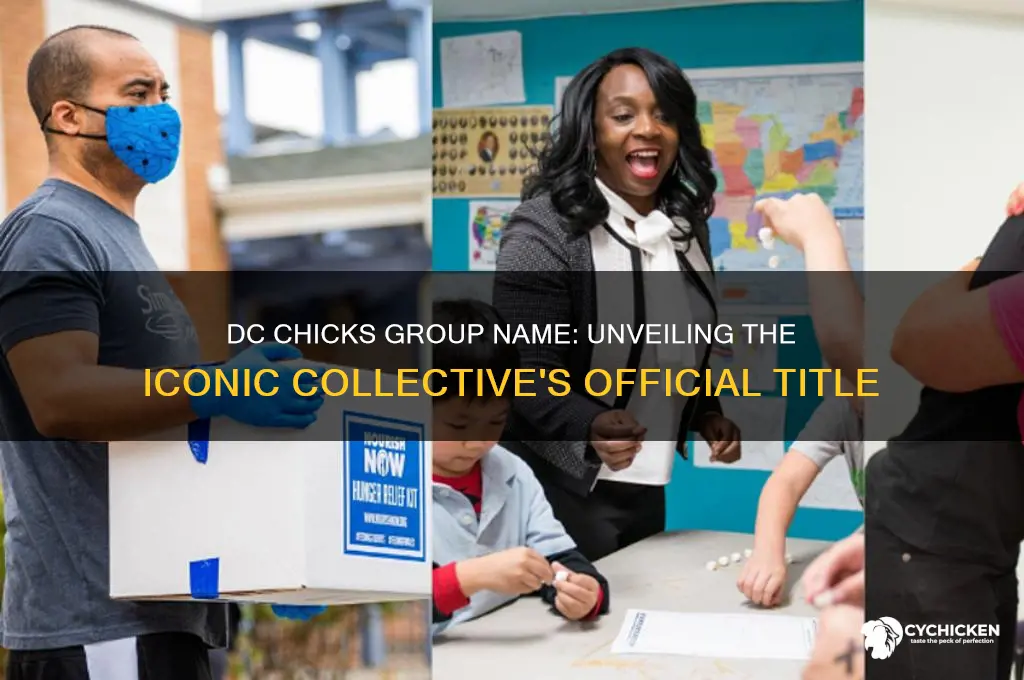 what was the group of dc chicks called