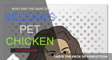 Selena's Pet Chicken: What Was Its Name?