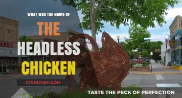 The Astonishing Tale of Mike: The Headless Chicken's Name