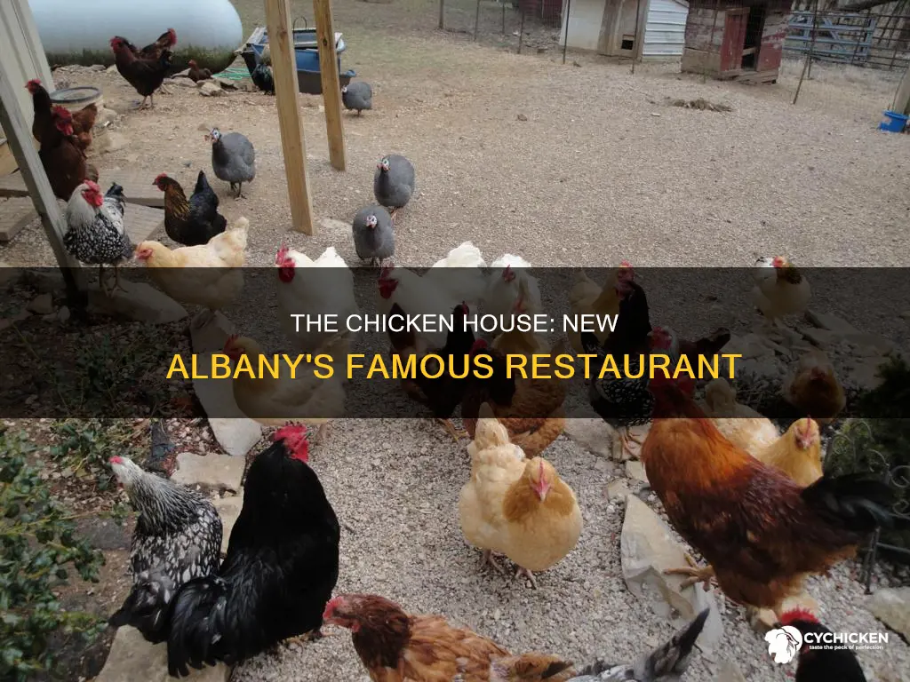 what was the new albany restaurant chicken house called