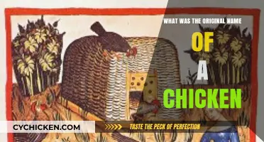 Uncovering the Ancient Roots: The Original Name of the Chicken