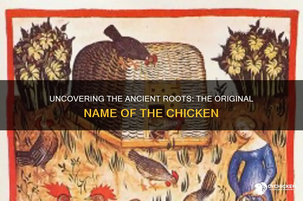 what was the original name of a chicken