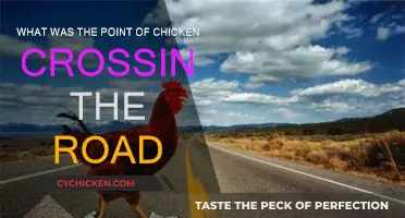 Why Did the Chicken Cross the Road?