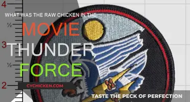 Thunder Force's Chicken Mystery: Uncooked Truth