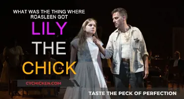 Rosaleen's Gift: A Chick Named Lily