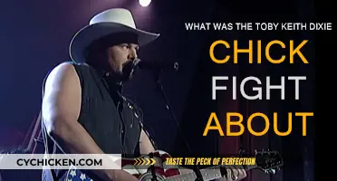 The Dixie Chicks, Toby Keith, and a Song Dispute