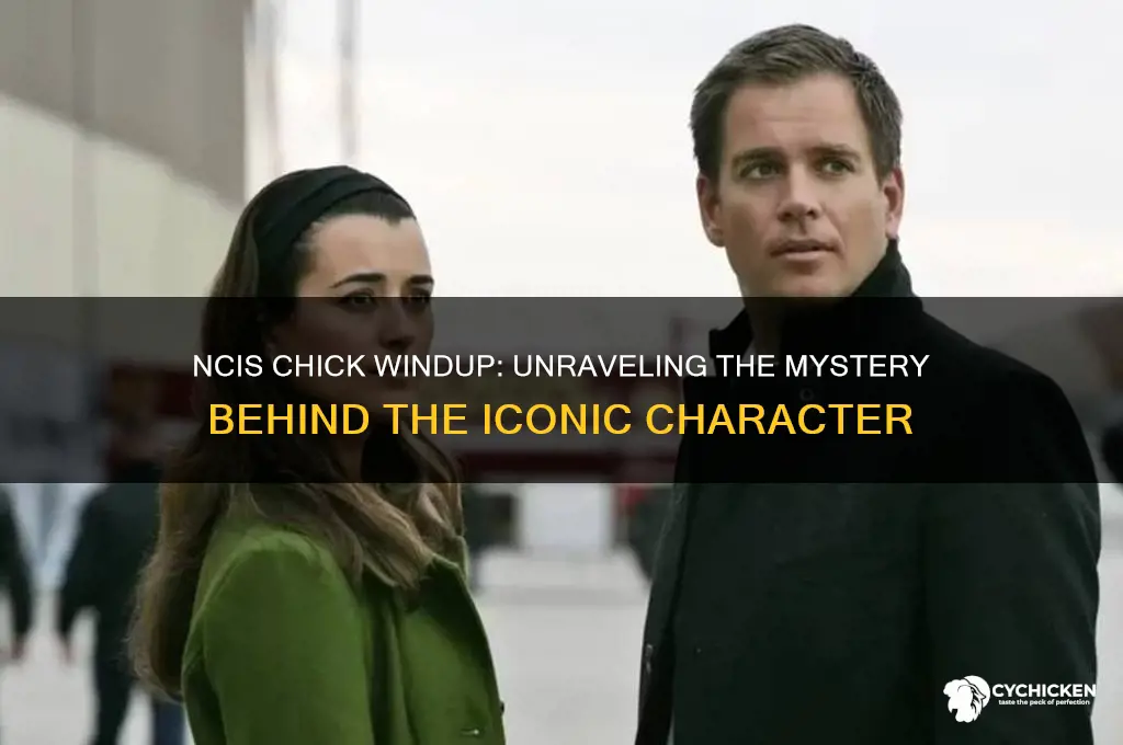 what was the windup with the ncis chick