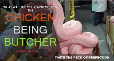Chicken Butchery: What's That Yellow Goop?
