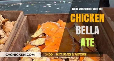 The Mystery of Bella's Chicken: Uncovering the Hidden Issue