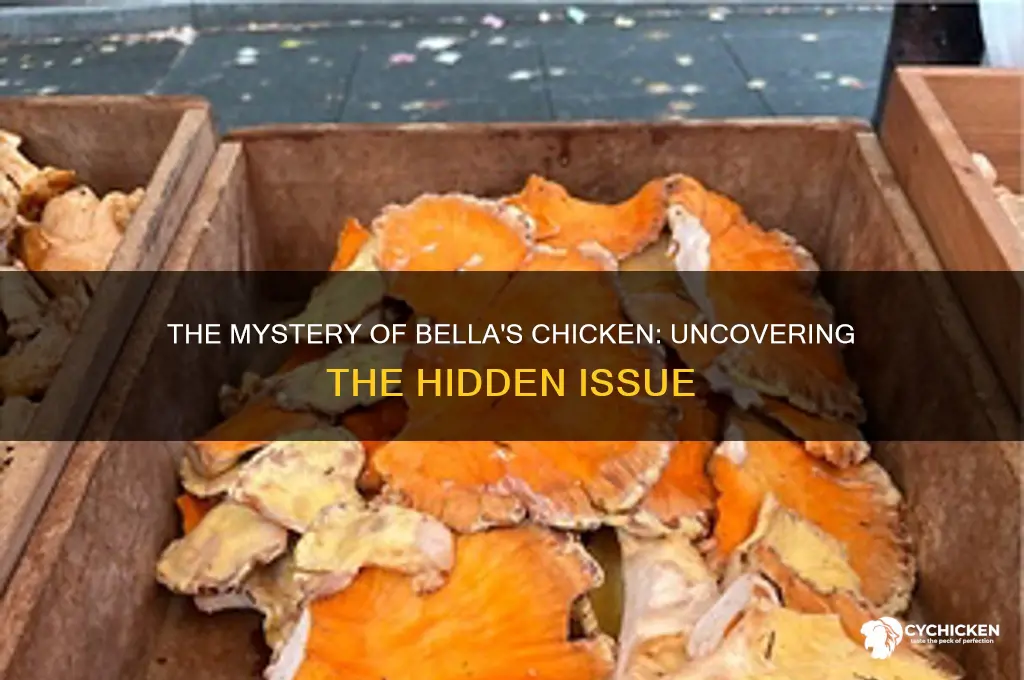 what was wrong with the chicken bella ate