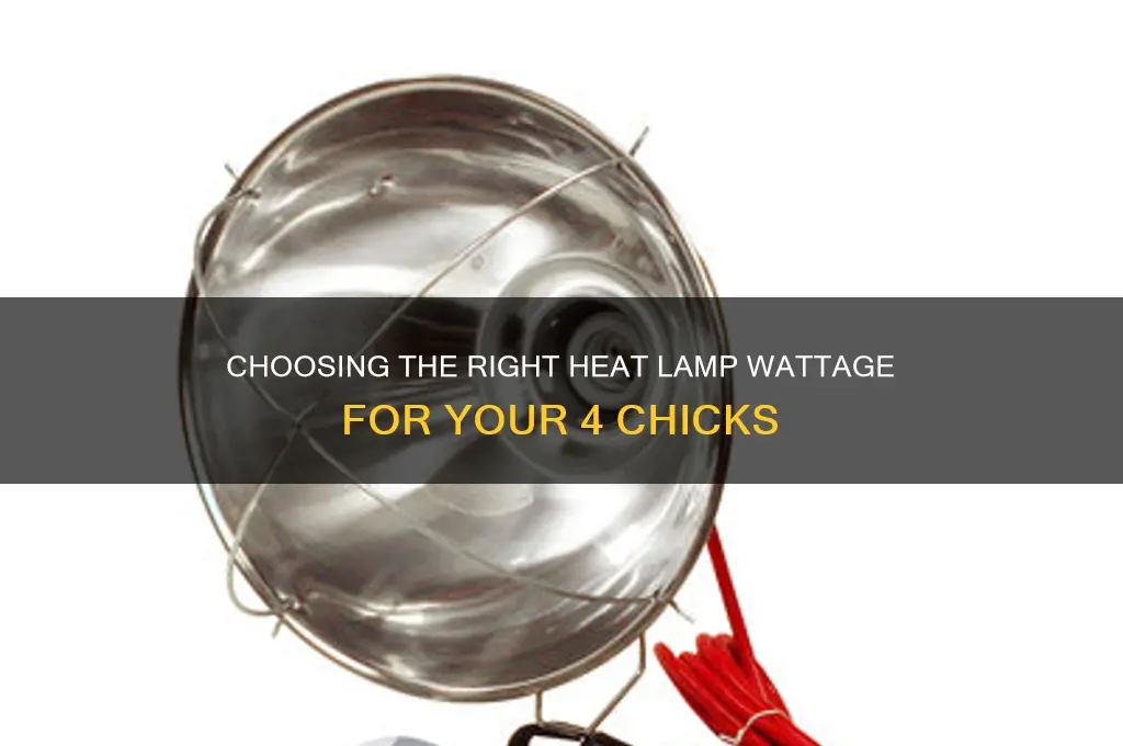 what wattage heat lamp for 4 chicks